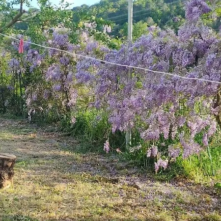 Dependance Nel Chianti A Pochi Minuti Da Firenze Apartman