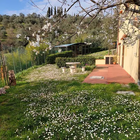 Dependance Nel Chianti A Pochi Minuti Da Firenze Apartman